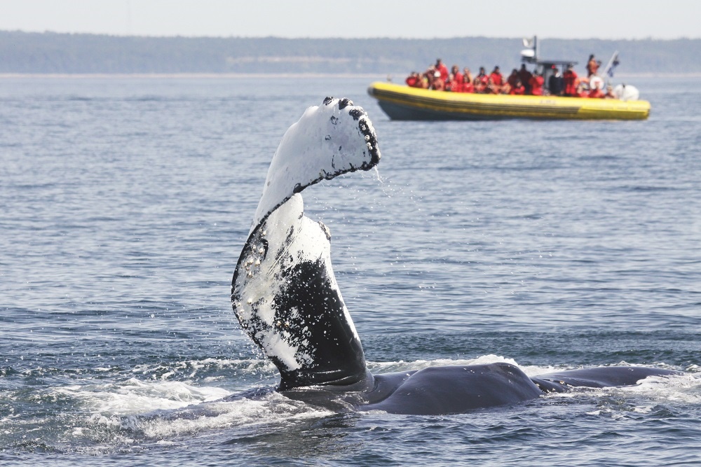 Crédit : Catherine Dubé @Croisières AML